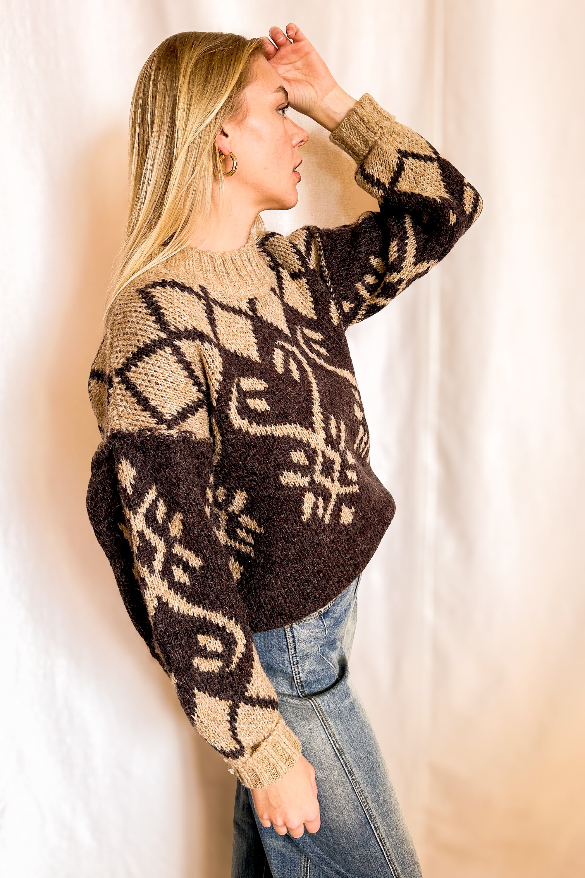 Jacquard Knit Dual Tone Boyfriend Sweater / Brown